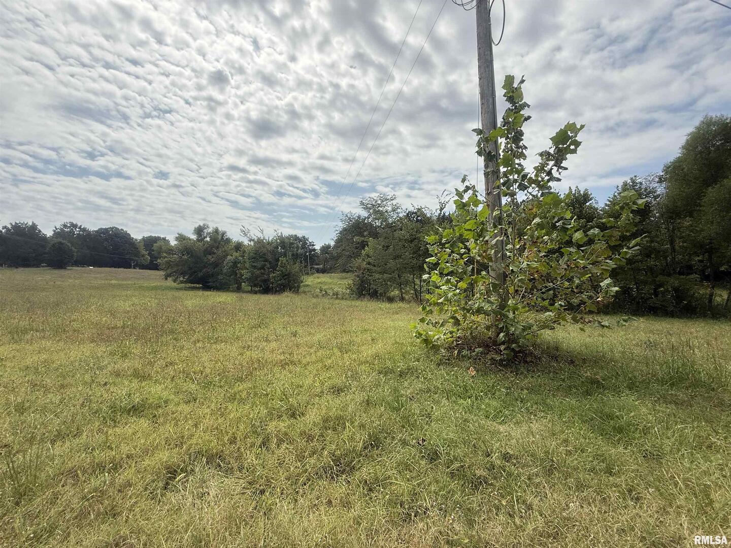 0 Wood Road Carbondale, IL 62966 - Photo 4 of 26