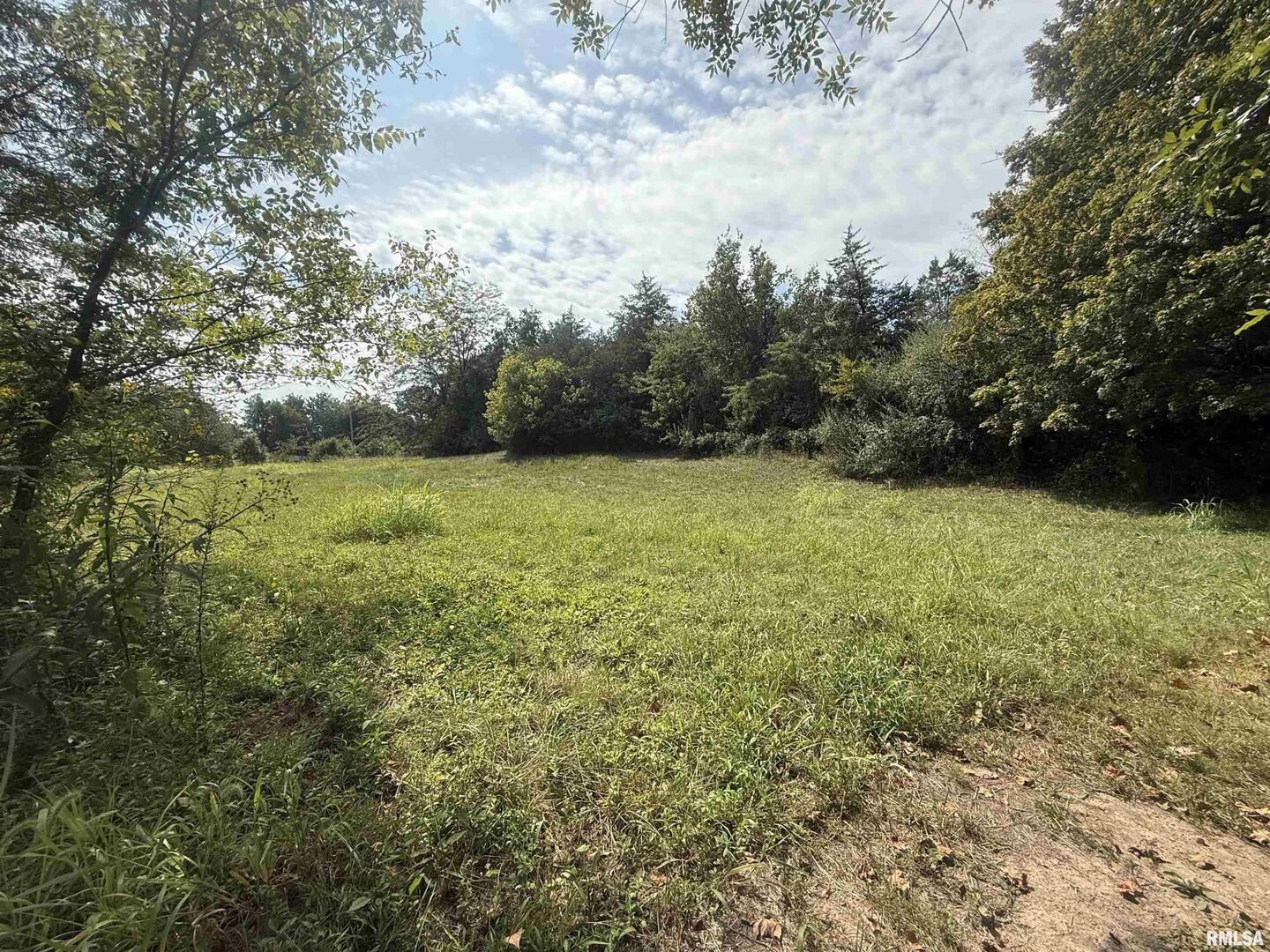 0 Wood Road Carbondale, IL 62966 - Photo 7 of 26