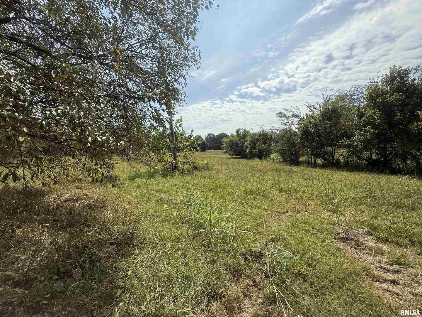 0 Wood Road Carbondale, IL 62966 - Photo 9 of 26