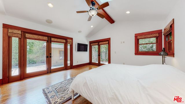 a view of a backyard with potted plants and large tree
