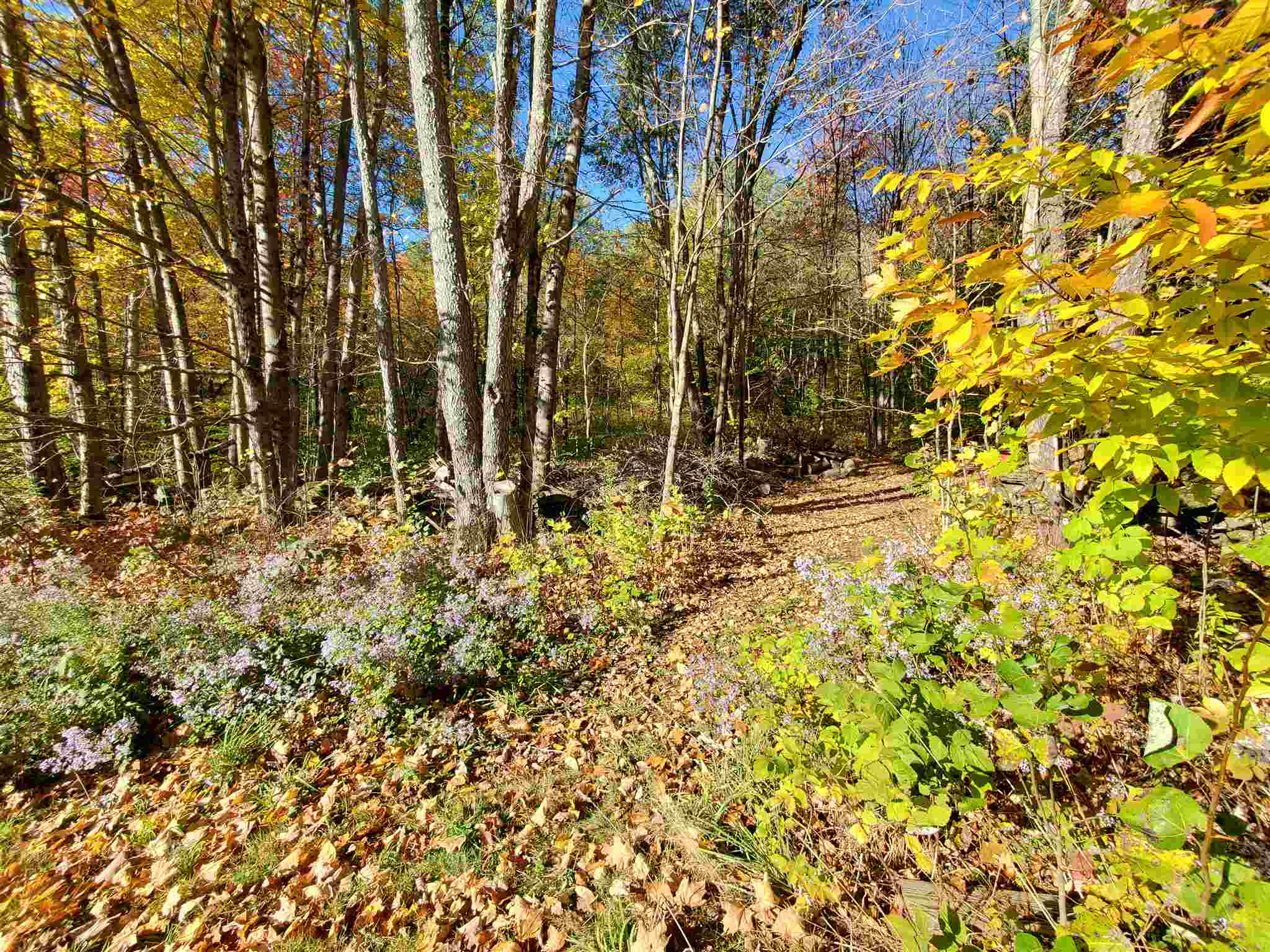 290 Highway 112 Whitingham, VT 05342 - Photo 36 of 38 Gallery Image 36