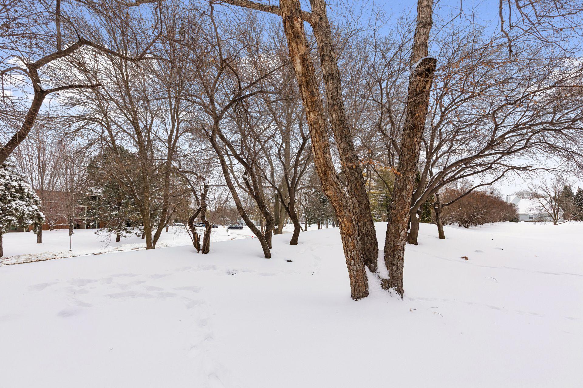 1603 Raindrop Drive Eagan, MN 55121 - Photo 31 of 47