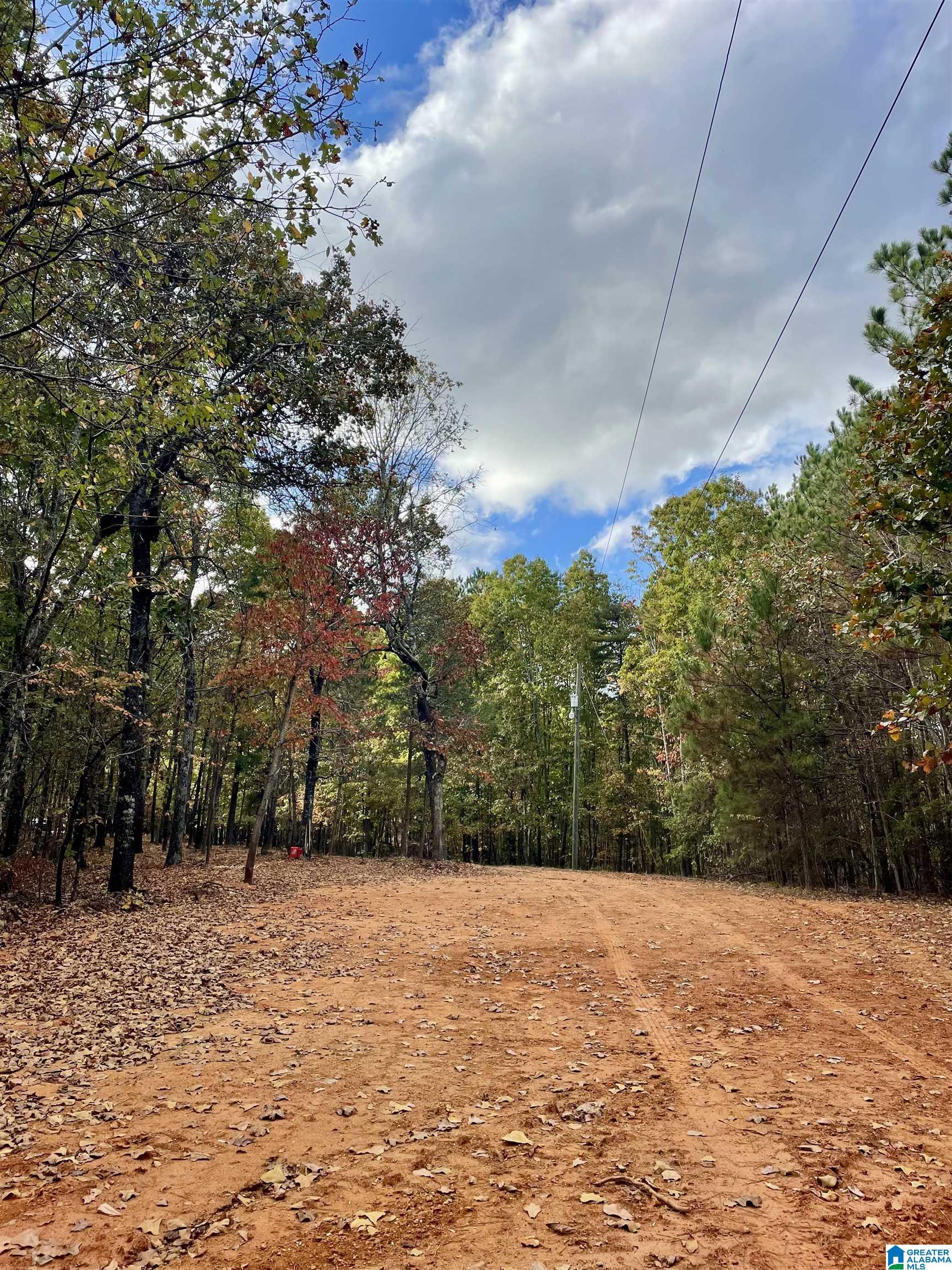 4348 County Road 25, Unit 1 Heflin, AL 36264 - Photo 6 of 22