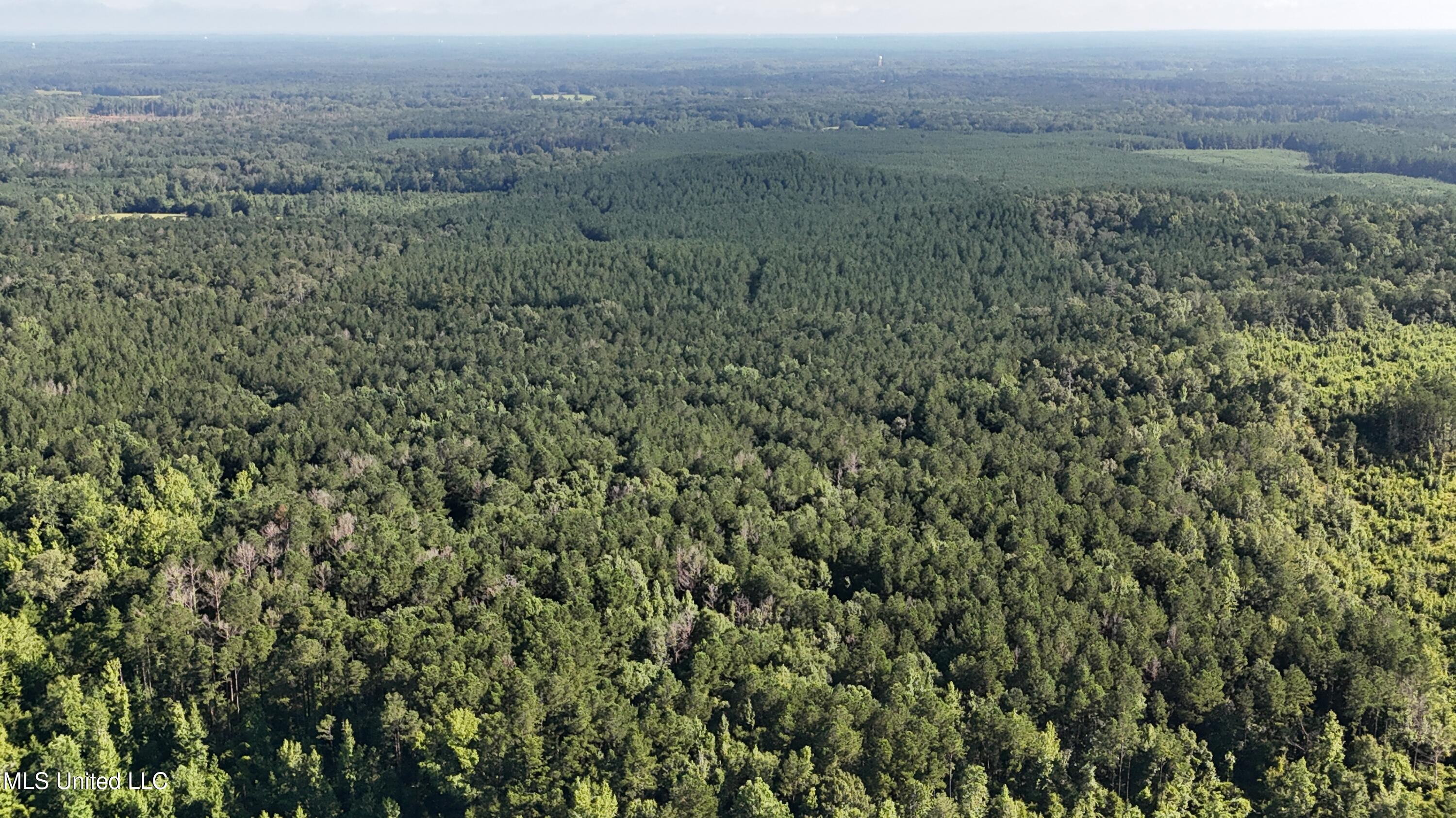 Levi Cooper Road Braxton, MS 39044 - Photo 2 of 9 dji_fly_20250714_085914_0017_17525856875