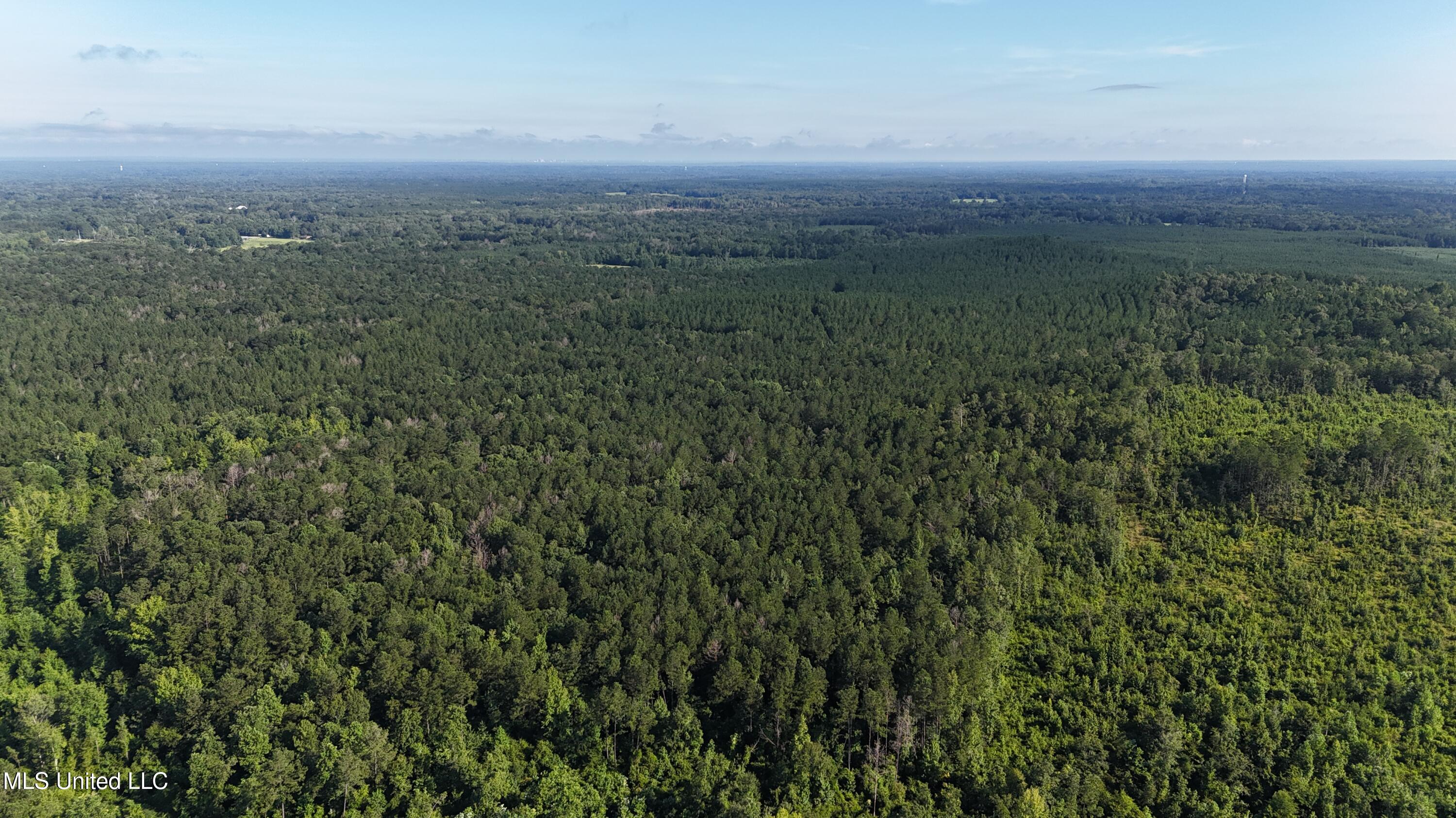 Levi Cooper Road Braxton, MS 39044 - Photo 3 of 9 dji_fly_20250714_085956_0018_17525856878