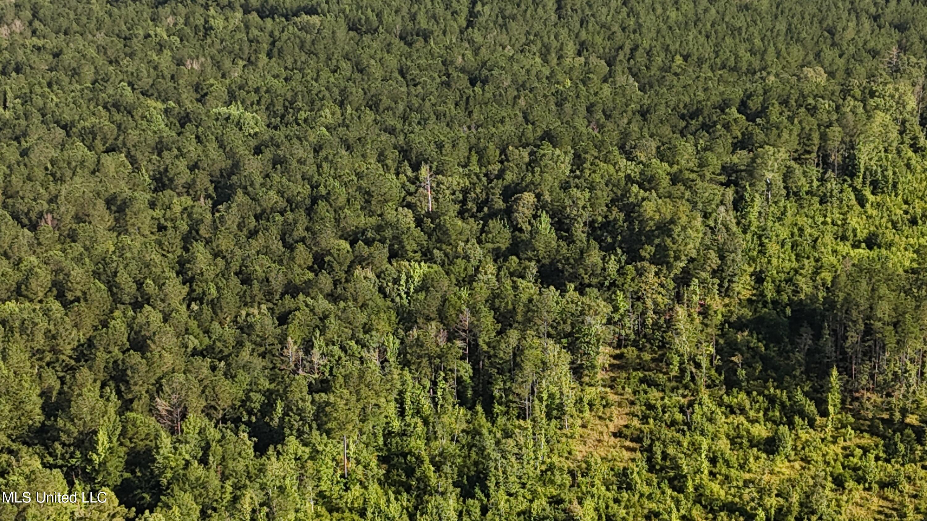 Levi Cooper Road Braxton, MS 39044 - Photo 4 of 9 dji_fly_20250714_090028_0019_17525856880