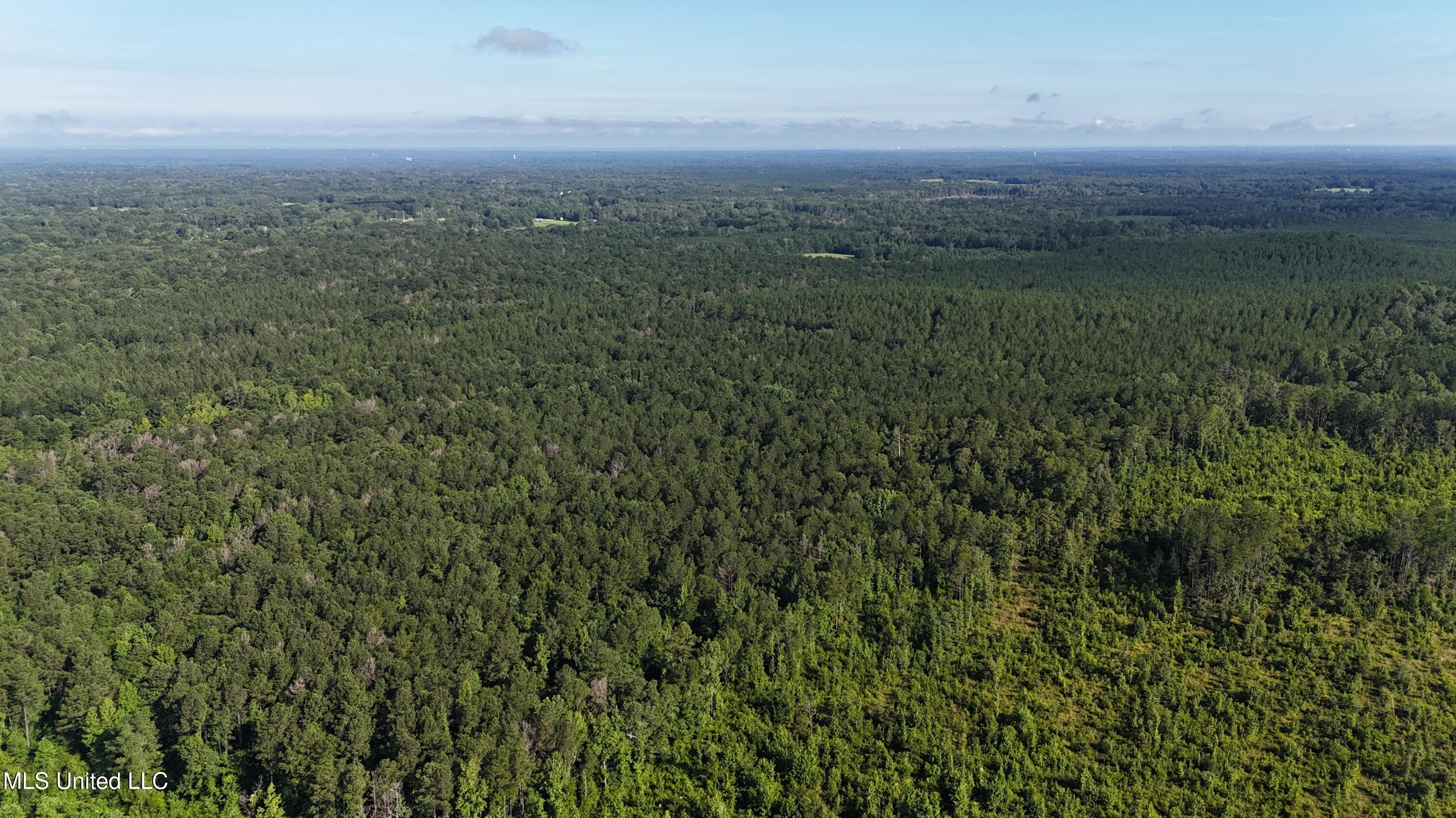 Levi Cooper Road Braxton, MS 39044 - Photo 5 of 9 dji_fly_20250714_090036_0020_17525856883