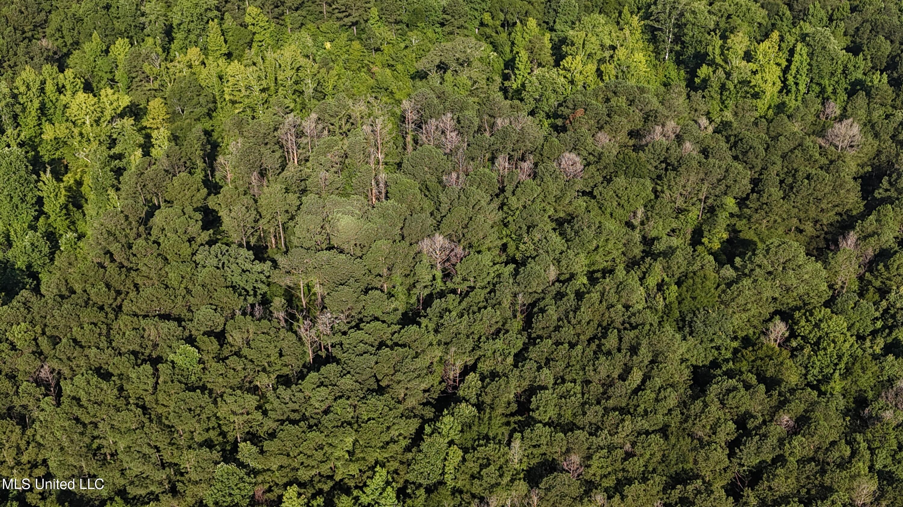 Levi Cooper Road Braxton, MS 39044 - Photo 6 of 9 dji_fly_20250714_090118_0022_17525856890