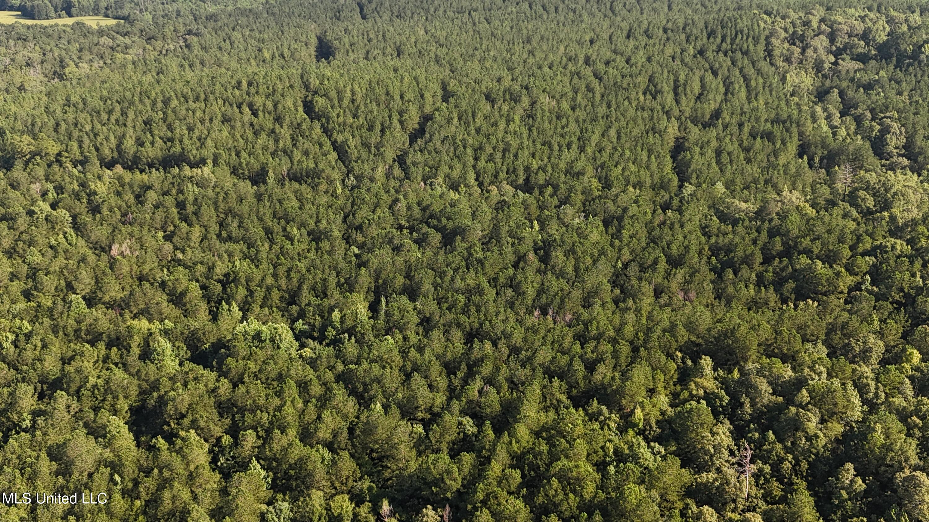 Levi Cooper Road Braxton, MS 39044 - Photo 7 of 9 dji_fly_20250714_090126_0023_17525856892