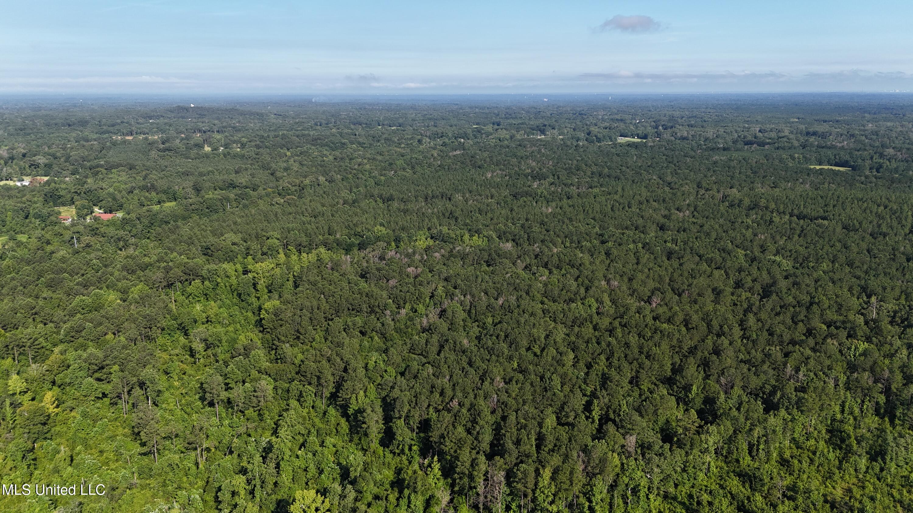 Levi Cooper Road Braxton, MS 39044 - Photo 8 of 9 dji_fly_20250714_090042_0021_17525856886