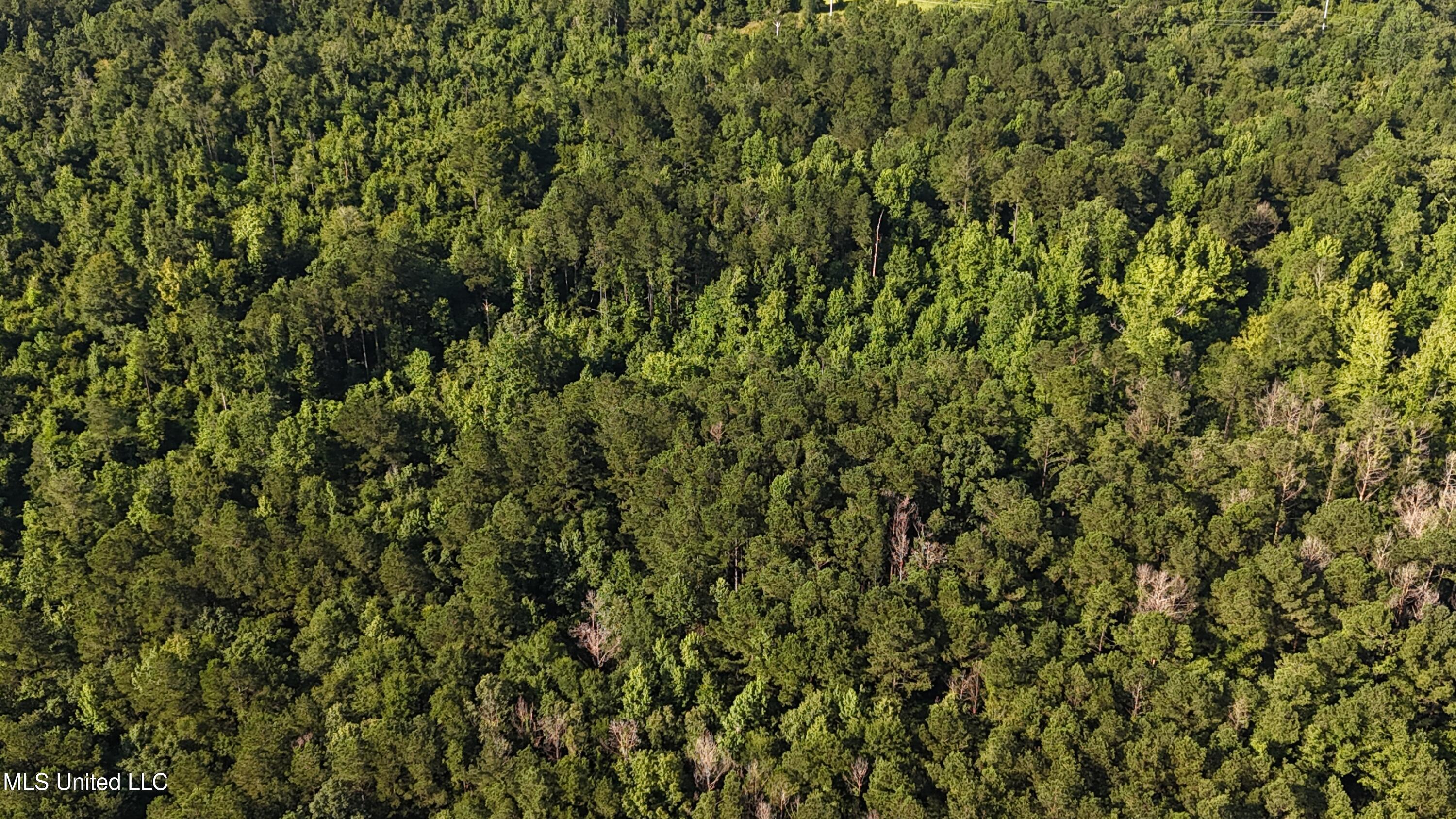 Levi Cooper Road Braxton, MS 39044 - Photo 9 of 9 dji_fly_20250714_090204_0024_17525856895