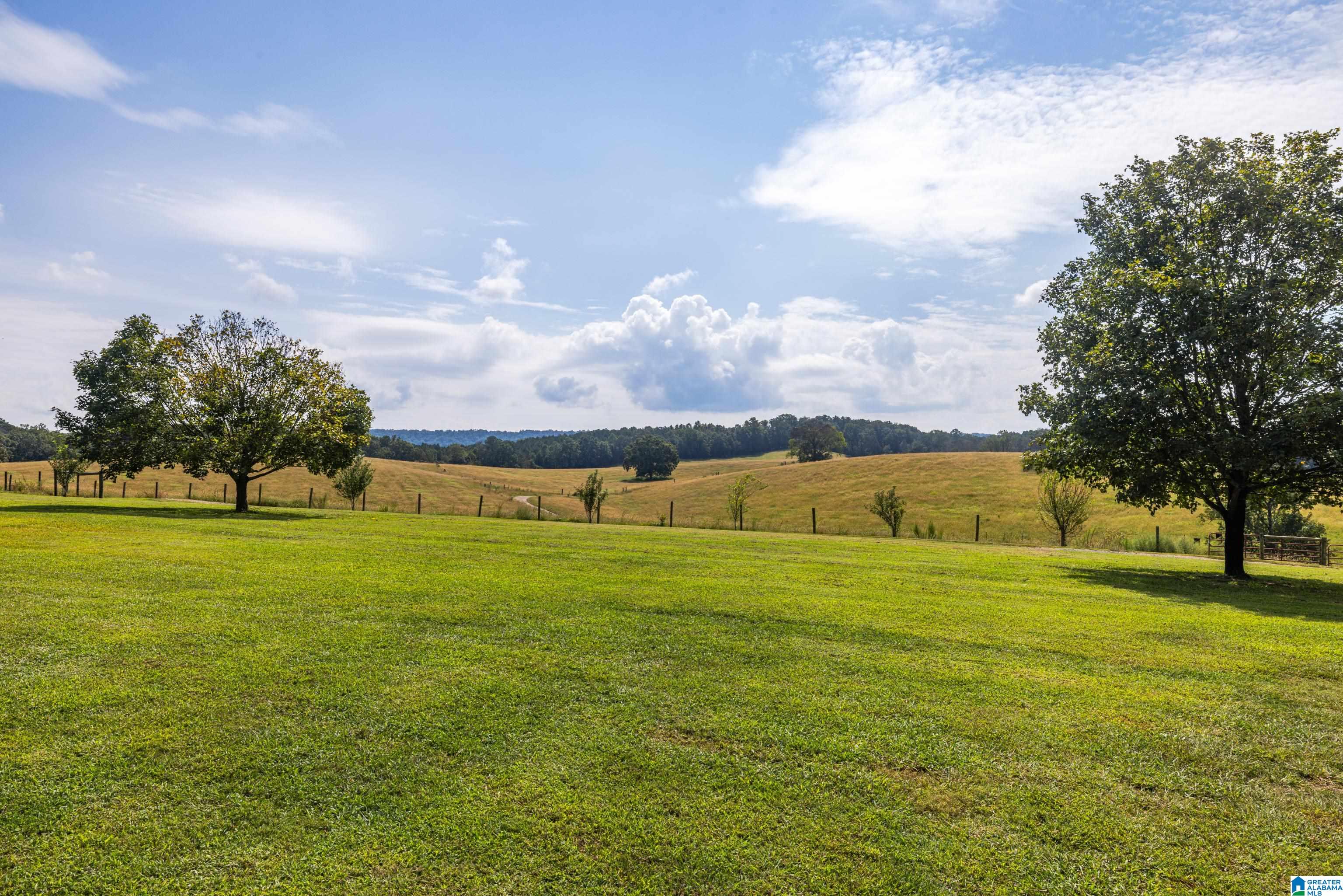 3124 County Road 39 Oneonta, AL 35121 - Photo 65 of 98