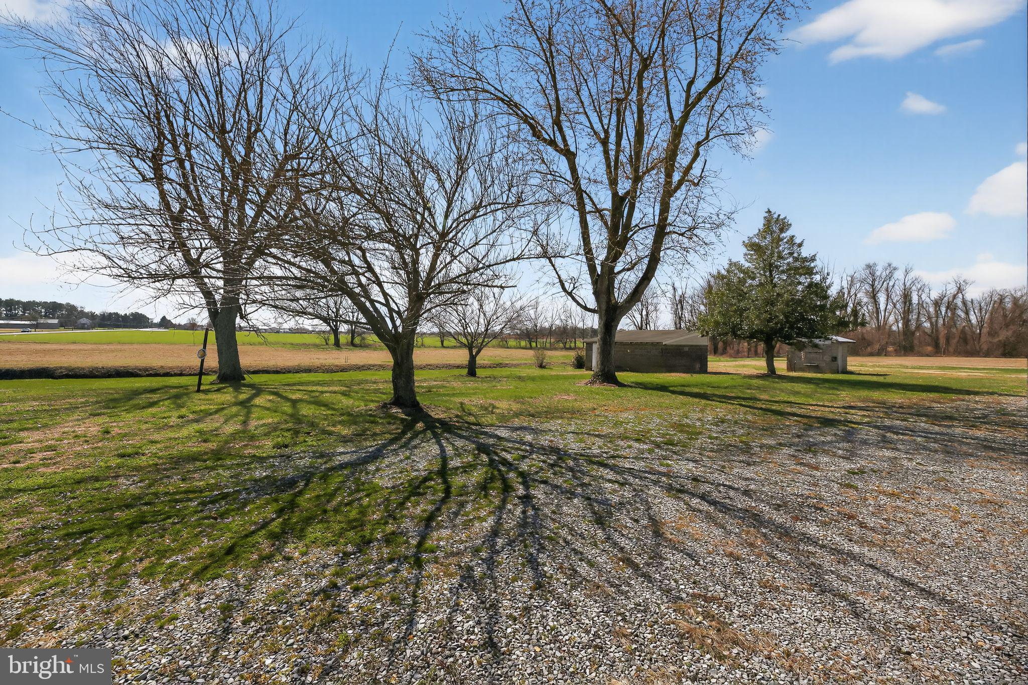305 Wolfert Station Road Mullica Hill, NJ 08062 - Photo 2 of 15 a view of a yard with a tree