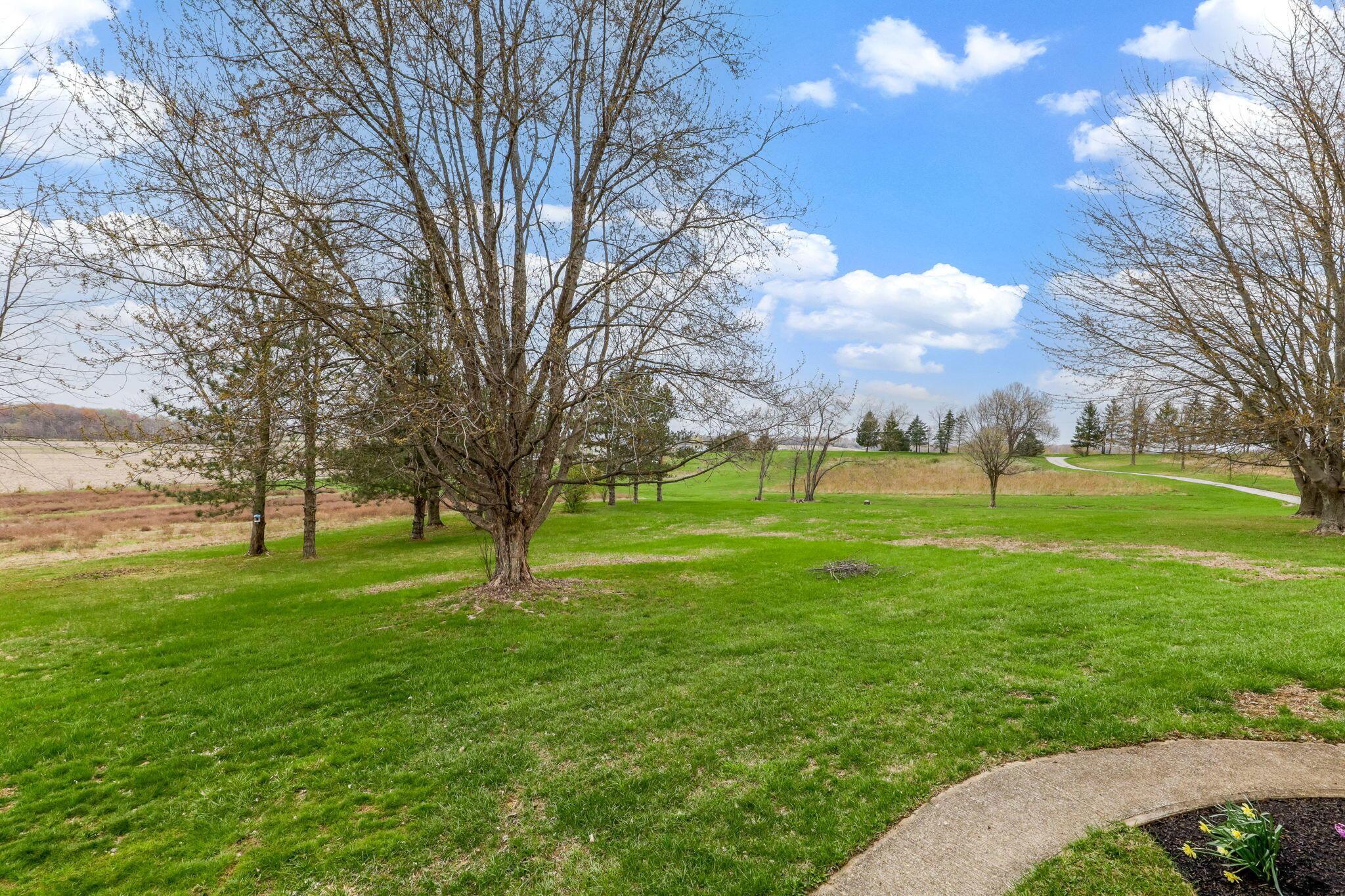 8778 Twp Road 36 Northwest Somerset, OH 43783 - Photo 68 of 94 75-web-or-mls-_MG_9711
