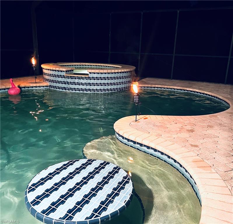 3221 64th Street Southwest Naples, FL 34105 - Photo 10 of 12 Pool area at night
