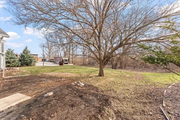 a view of yard with trees