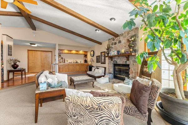 a living room with furniture a fireplace and a potted plant