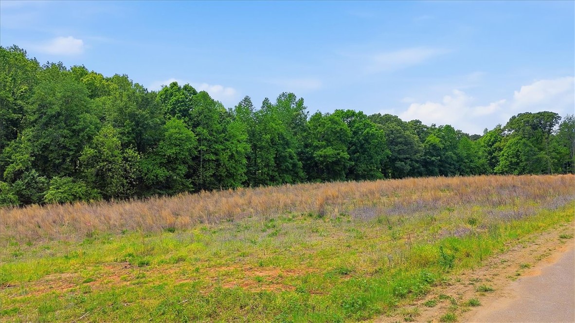 0 Parrs Farm Road Chesnee, SC 29323 - Photo 12 of 25