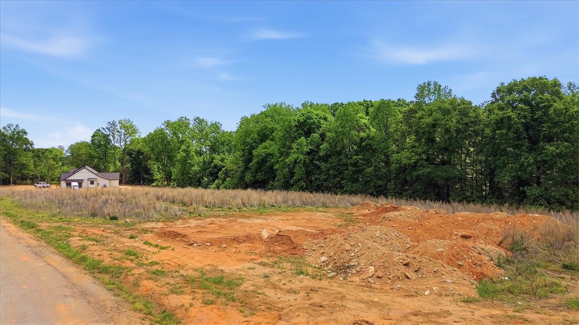 0 Parrs Farm Road Chesnee, SC 29323 - Photo 13 of 25