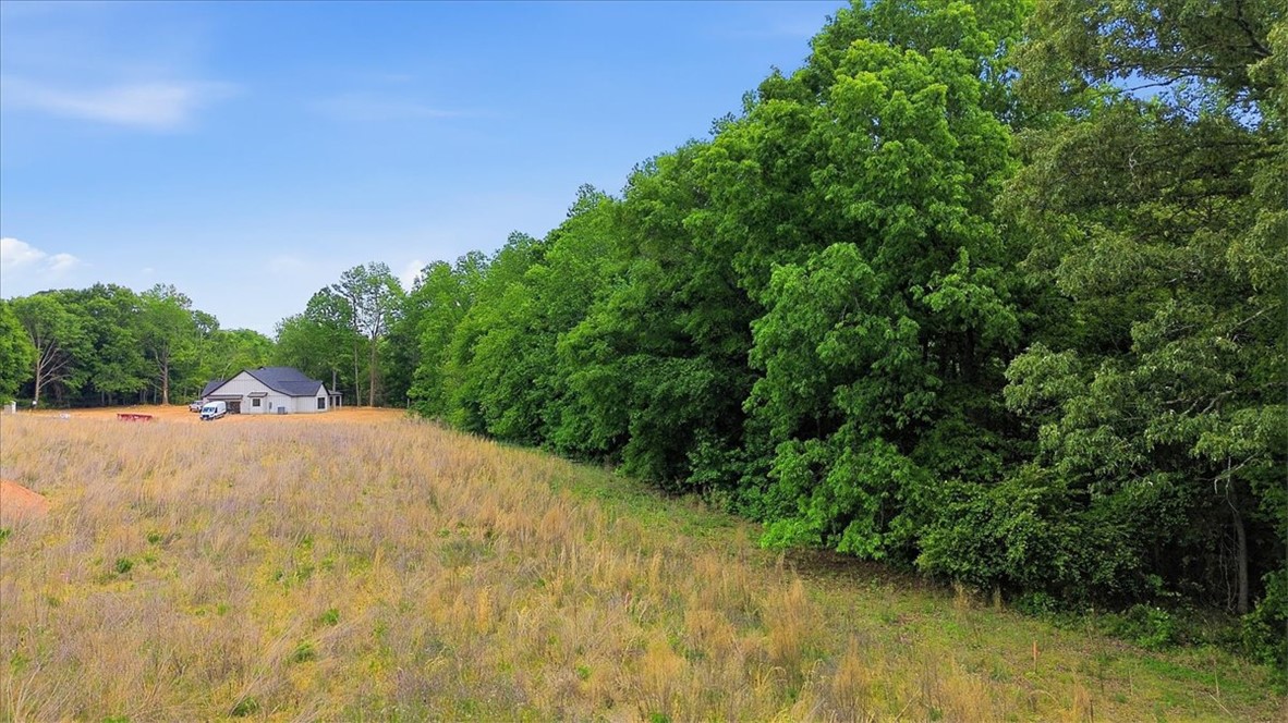 0 Parrs Farm Road Chesnee, SC 29323 - Photo 14 of 25