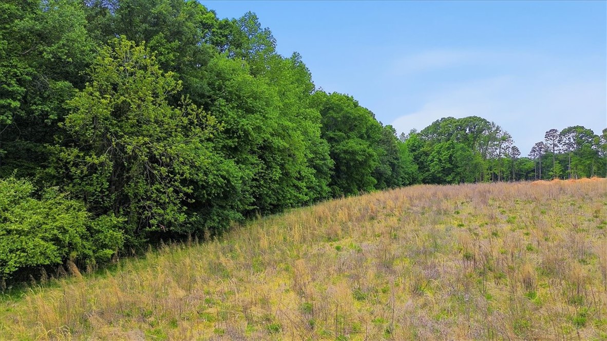 0 Parrs Farm Road Chesnee, SC 29323 - Photo 15 of 25