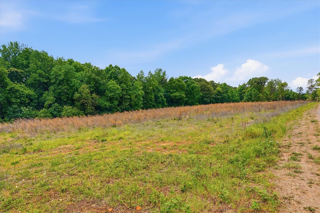 0 Parrs Farm Road Chesnee, SC 29323 - Photo 16 of 25