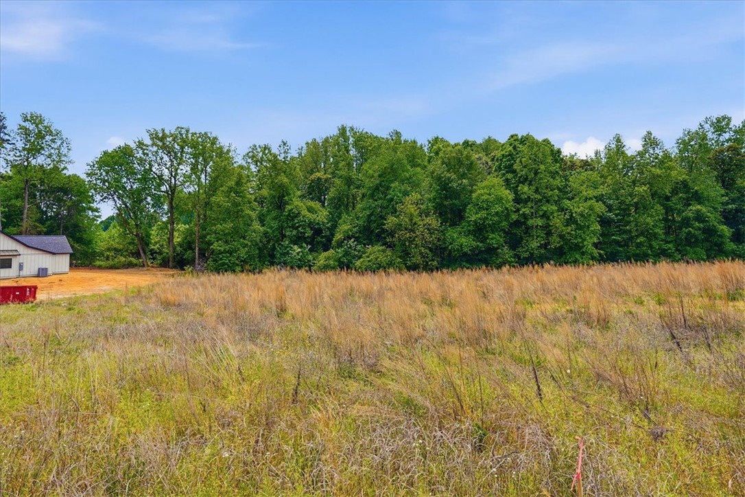 0 Parrs Farm Road Chesnee, SC 29323 - Photo 17 of 25