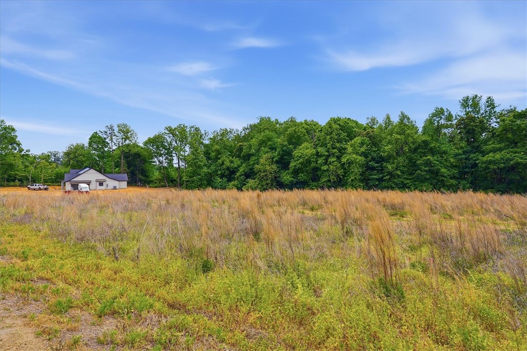 0 Parrs Farm Road Chesnee, SC 29323 - Photo 18 of 25