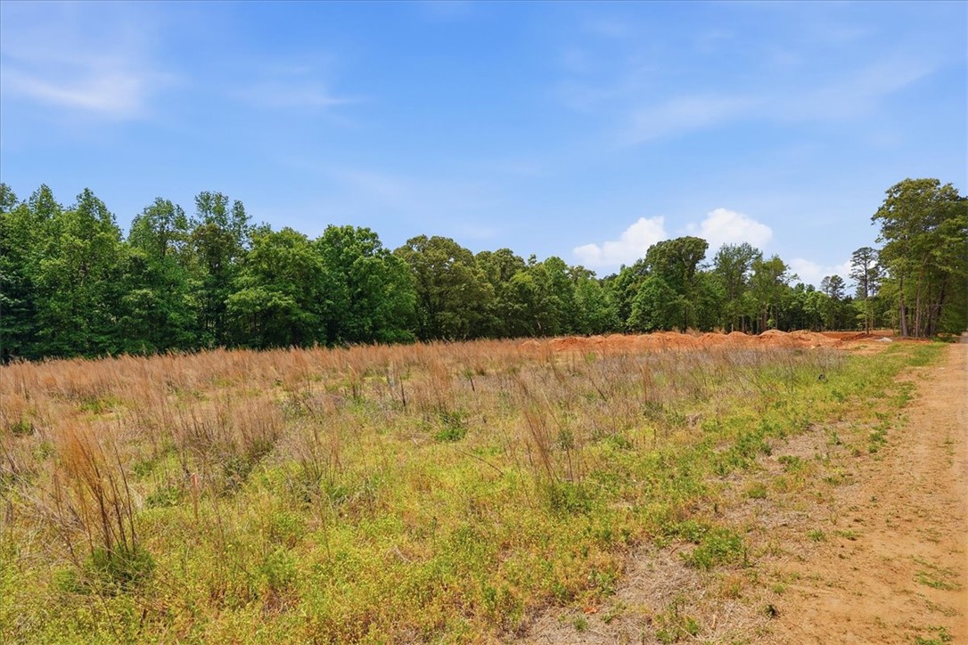 0 Parrs Farm Road Chesnee, SC 29323 - Photo 19 of 25