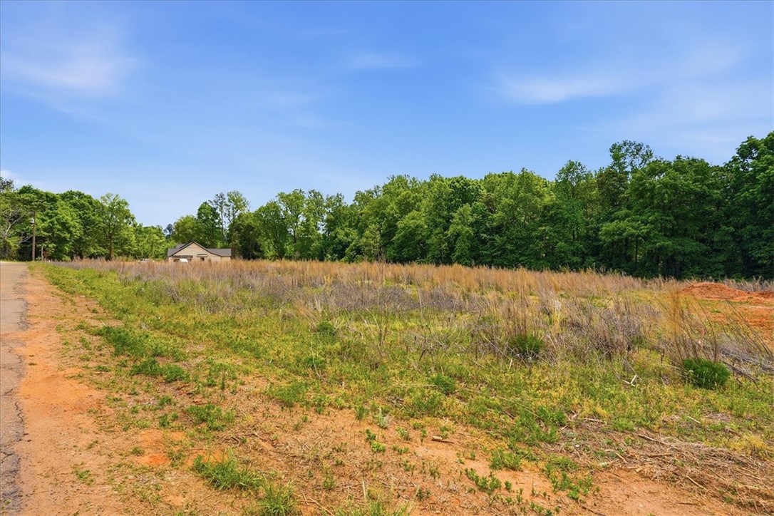 0 Parrs Farm Road Chesnee, SC 29323 - Photo 20 of 25