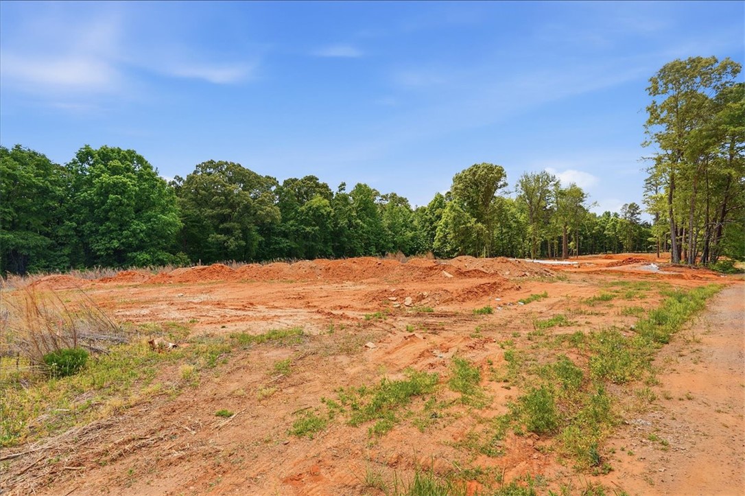 0 Parrs Farm Road Chesnee, SC 29323 - Photo 21 of 25