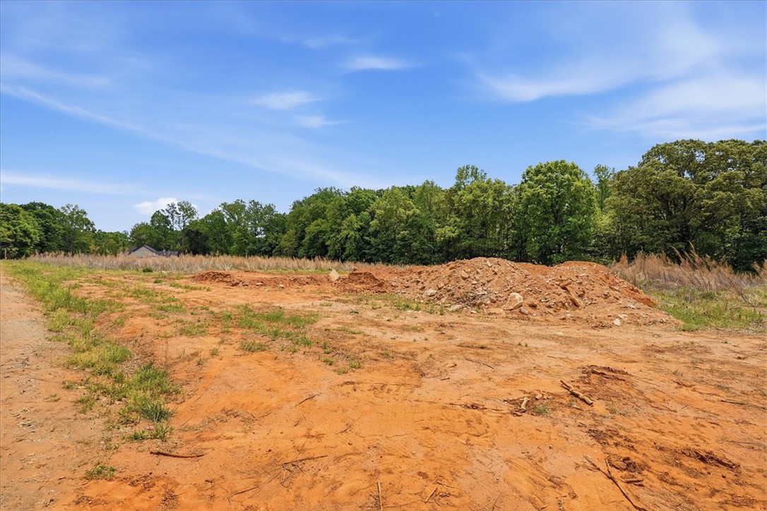 0 Parrs Farm Road Chesnee, SC 29323 - Photo 22 of 25