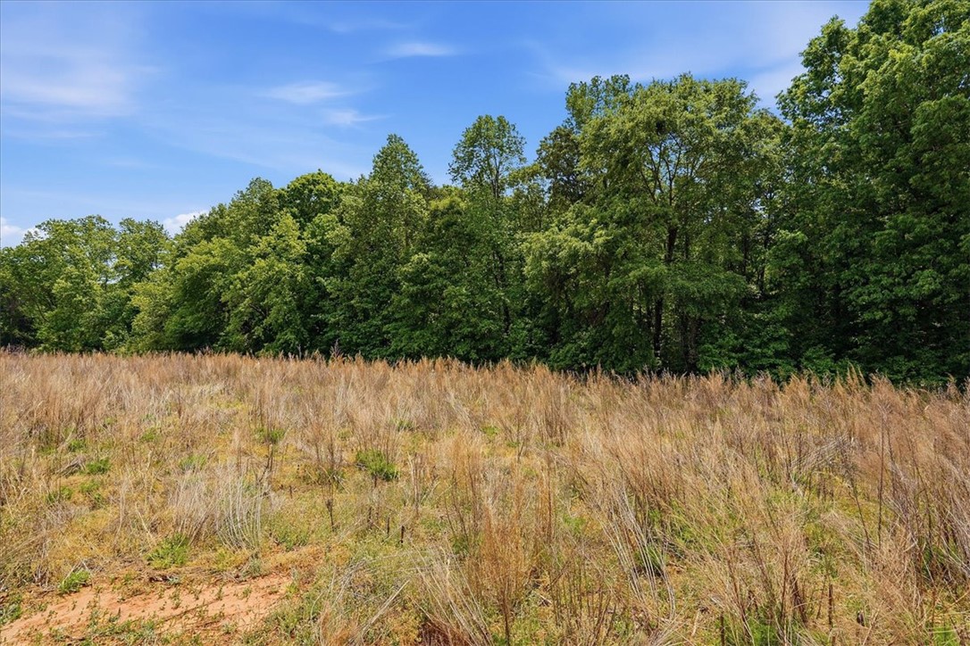 0 Parrs Farm Road Chesnee, SC 29323 - Photo 23 of 25