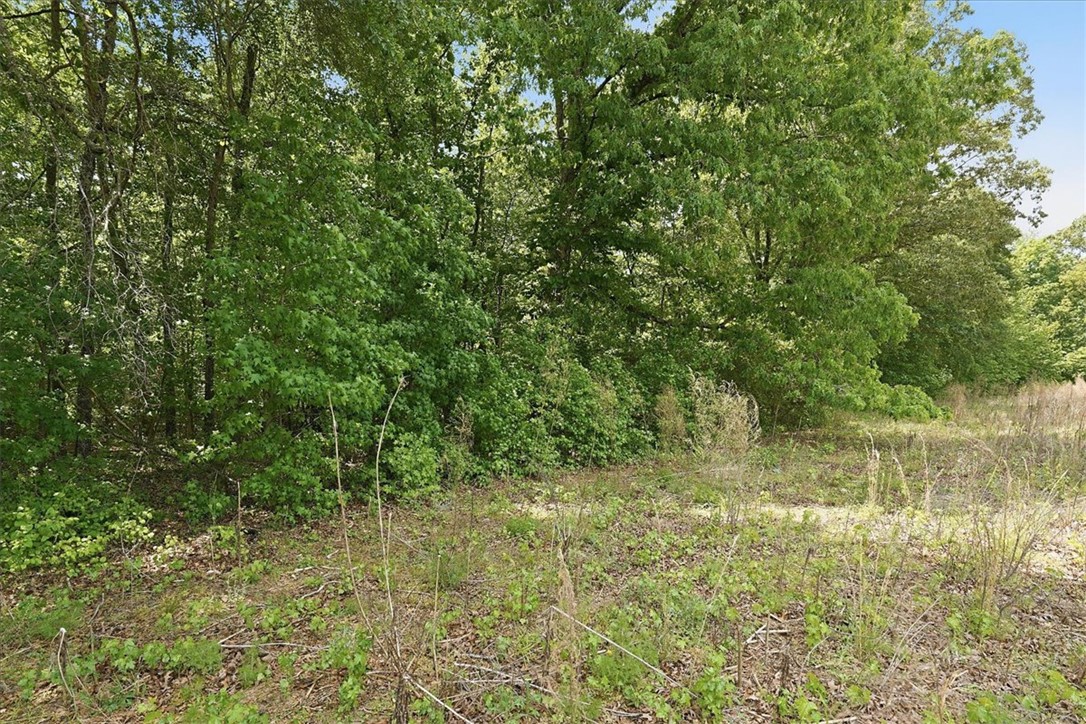 0 Parrs Farm Road Chesnee, SC 29323 - Photo 24 of 25