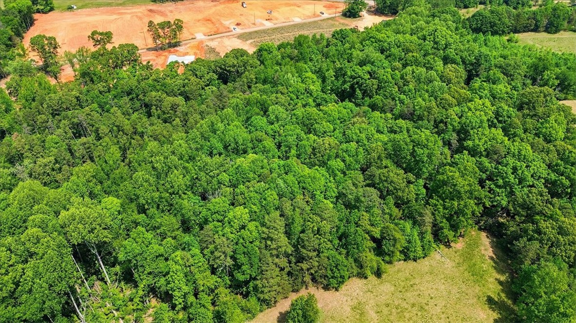 0 Parrs Farm Road Chesnee, SC 29323 - Photo 3 of 25