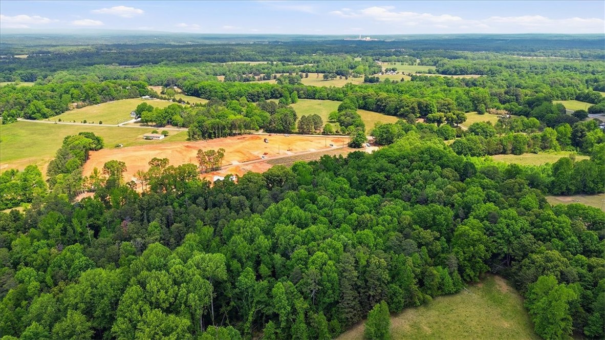 0 Parrs Farm Road Chesnee, SC 29323 - Photo 4 of 25