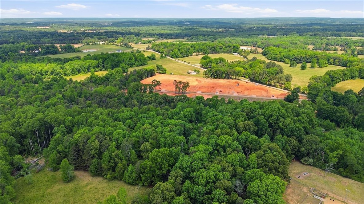 0 Parrs Farm Road Chesnee, SC 29323 - Photo 5 of 25