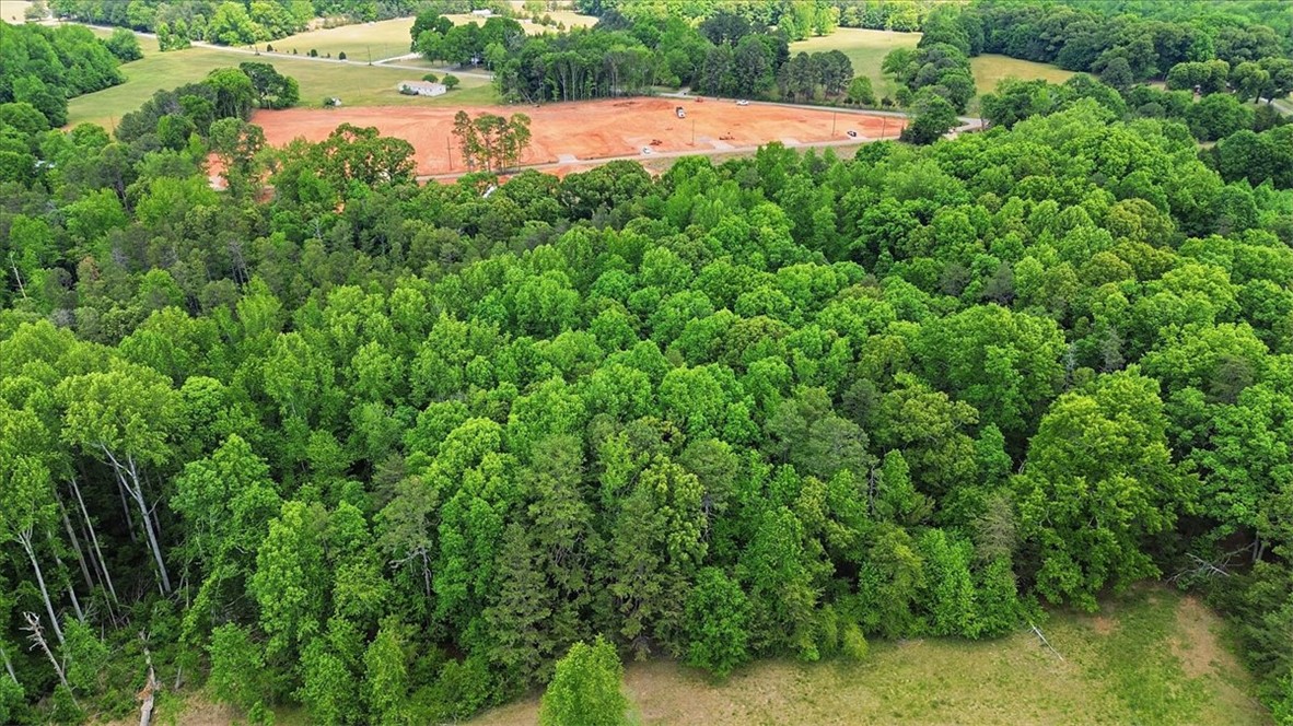 0 Parrs Farm Road Chesnee, SC 29323 - Photo 6 of 25