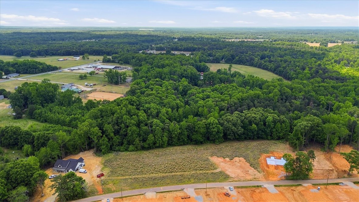 0 Parrs Farm Road Chesnee, SC 29323 - Photo 8 of 25