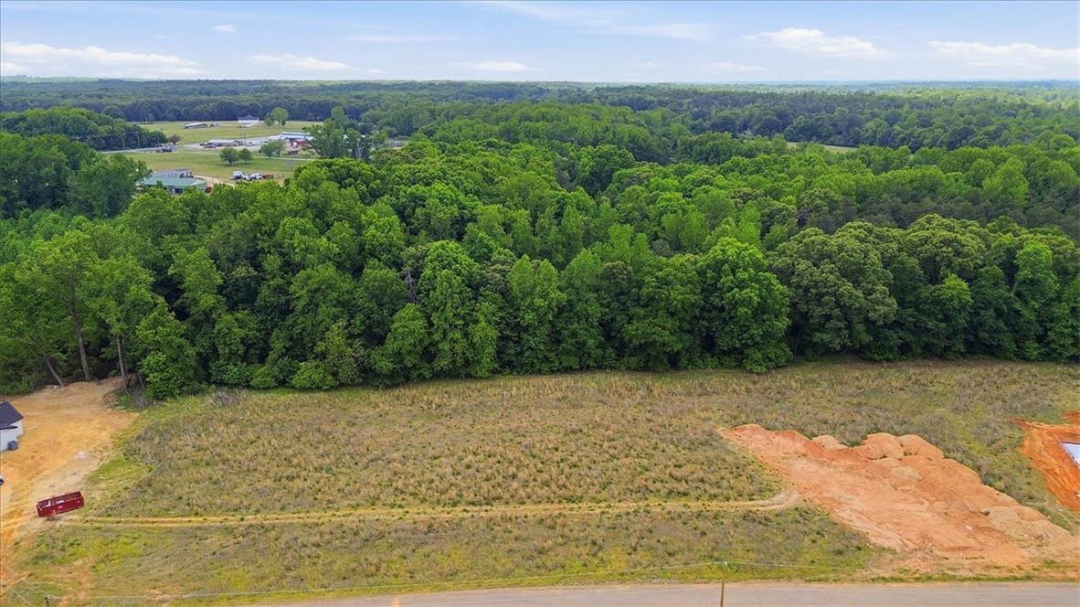 0 Parrs Farm Road Chesnee, SC 29323 - Photo 9 of 25