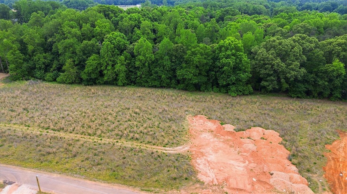 0 Parrs Farm Road Chesnee, SC 29323 - Photo 10 of 25