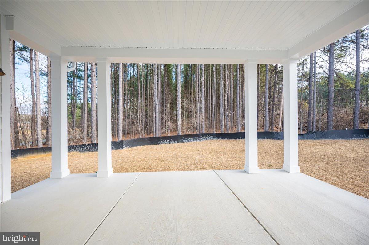39762 Rivers Edge Lane Lovettsville, VA 20180 - Photo 103 of 118 Privacy in the backyard.