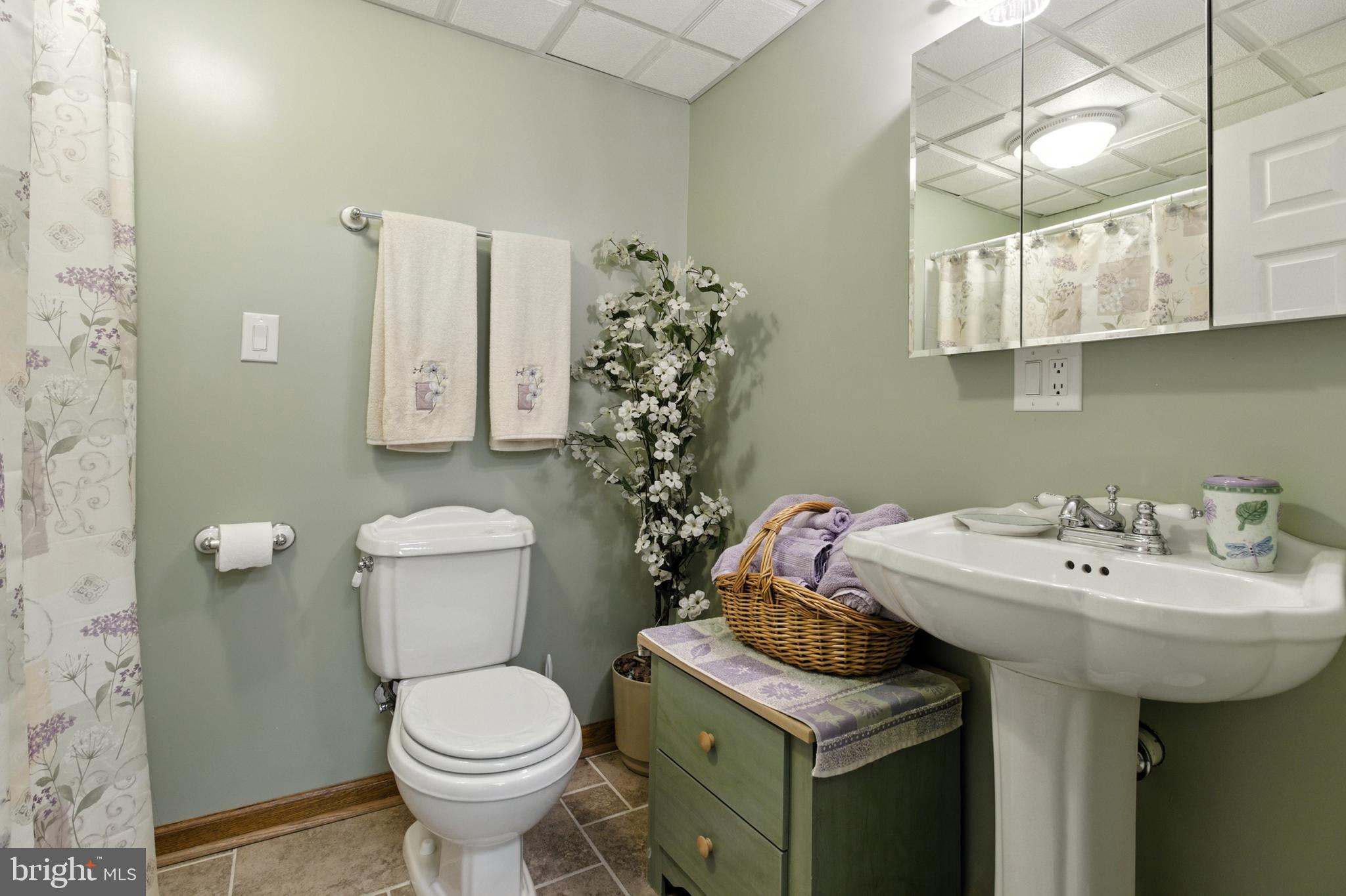 2230 Six Mile Road Philipsburg, PA 16866 - Photo 25 of 70 a bathroom with a sink a toilet and mirror
