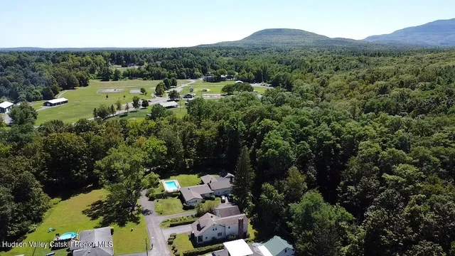 a view of a lush green forest with houses