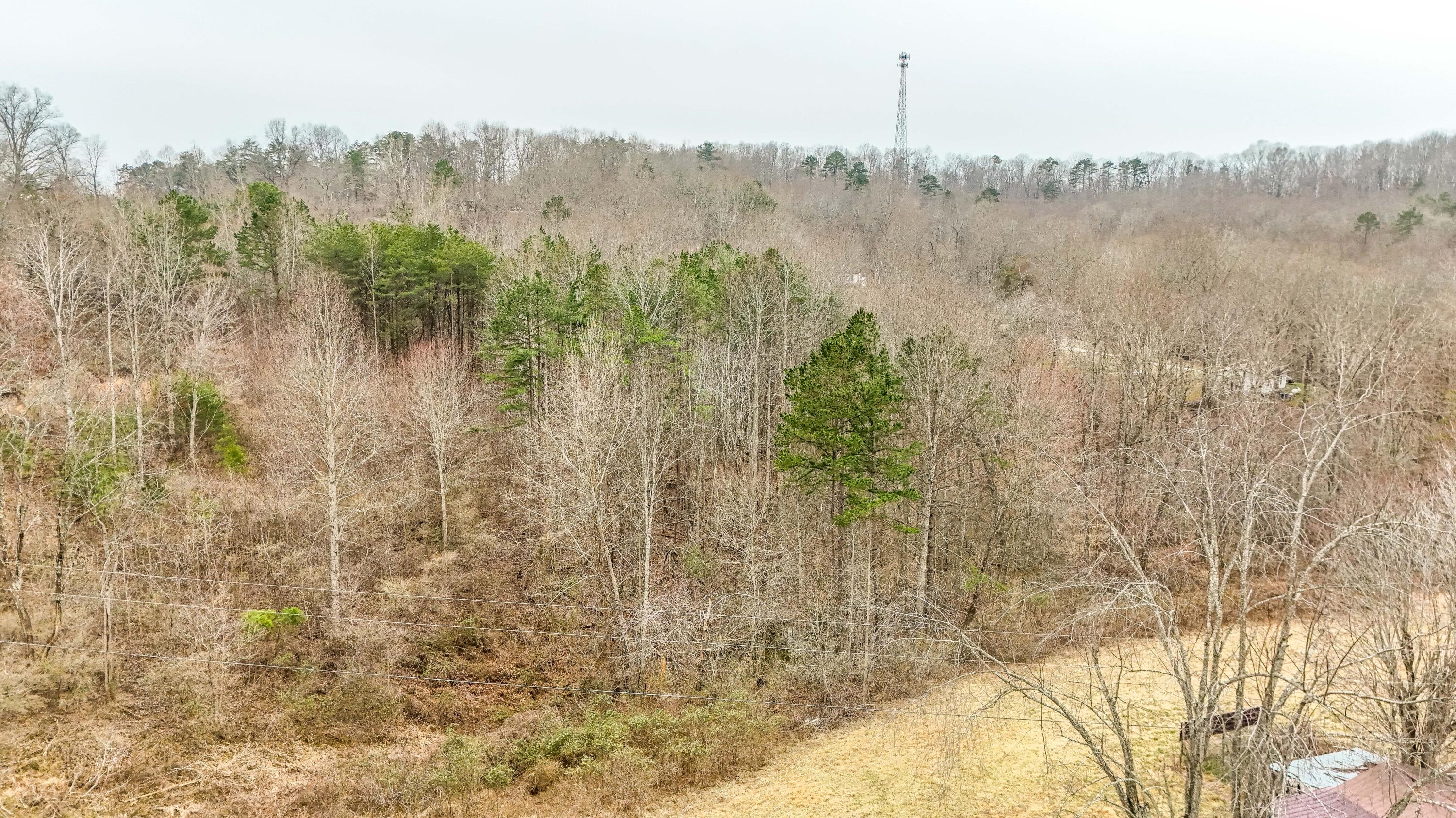 381 East Campground School Road London, KY 40744 - Photo 16 of 18 LightroomRealEstateEdits-12