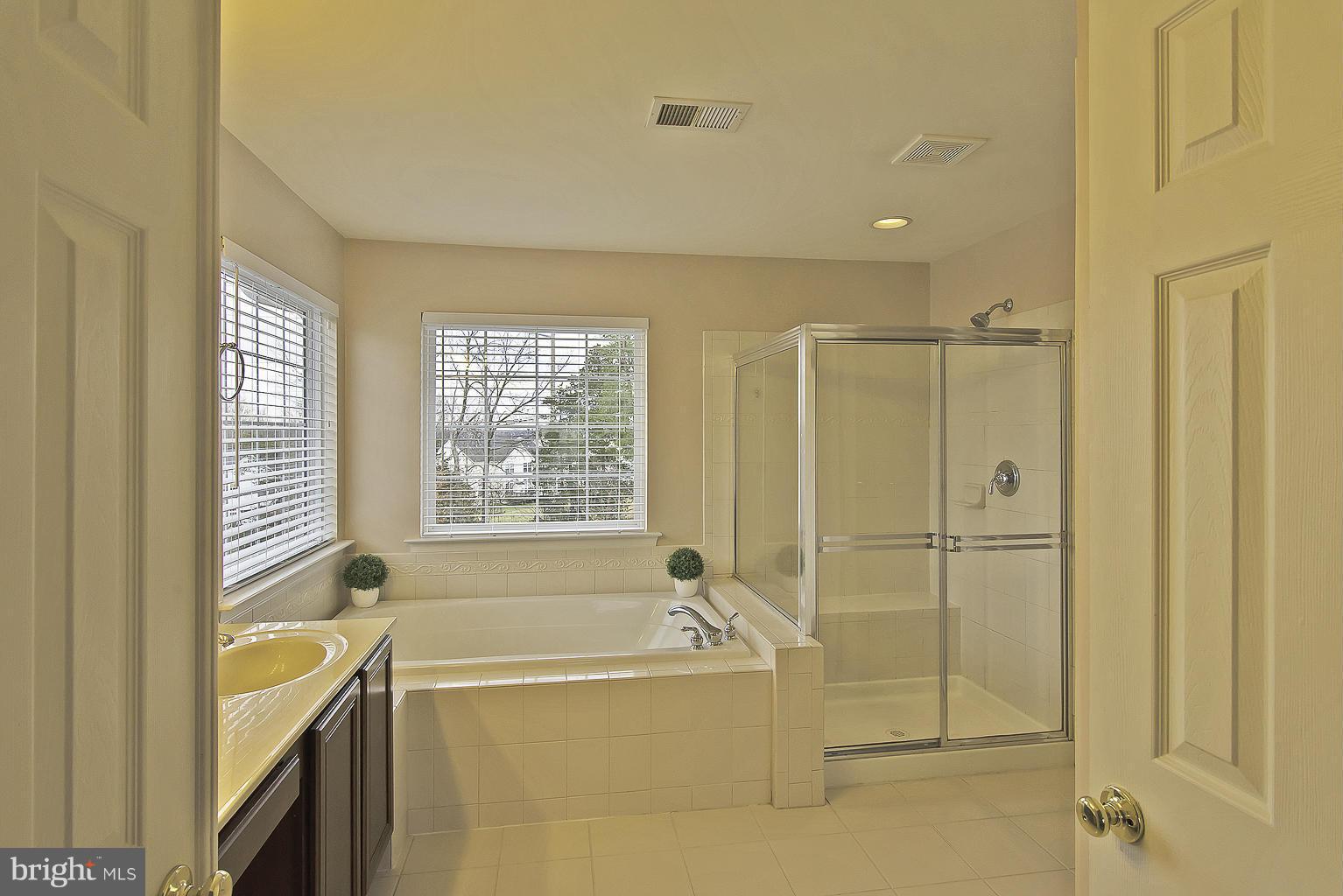 8740 Lords View Loop Gainesville, VA 20155 - Photo 17 of 30 Bath (Master)