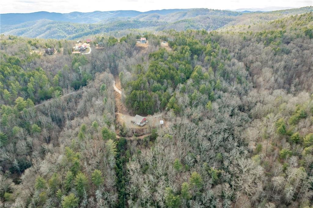 1481 Summit Ridge Road Purlear, NC 28665 - Photo 5 of 49