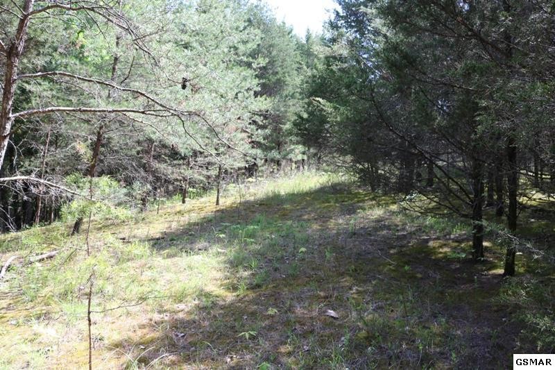 0 Lot 35 Buck Horn Road Sevierville, TN 37876 - Photo 27 of 30