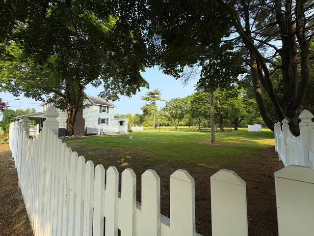 a view of a large yard with large trees