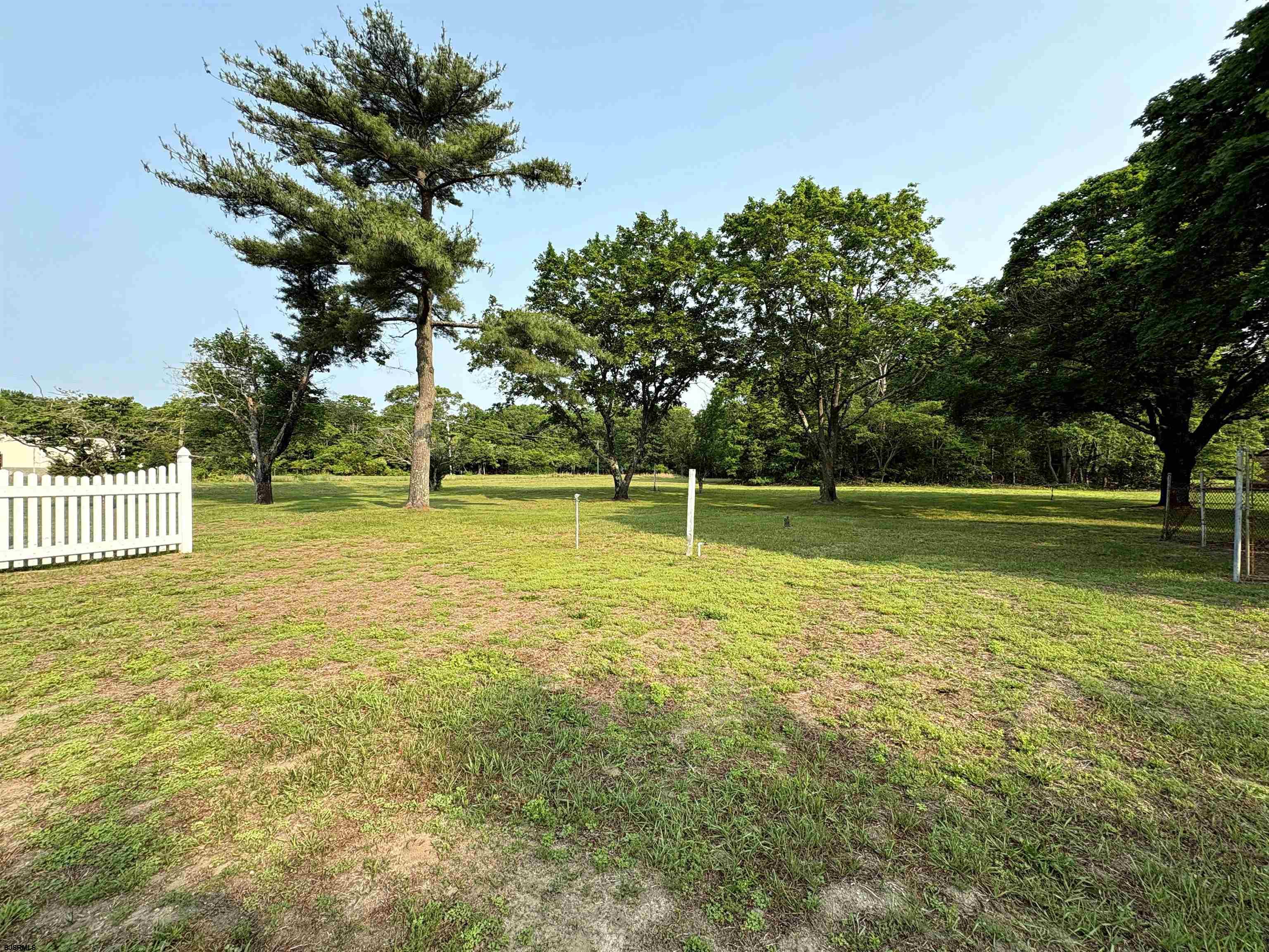 301 Broad Street Milmay, NJ 08330 - Photo 51 of 64 a view of a swimming pool with a yard and palm trees